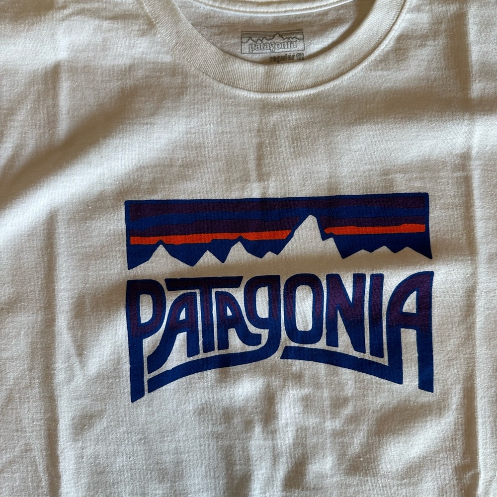 Men’s Patagonia t shirt nwot